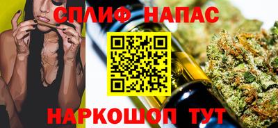 шишки Кингисепп