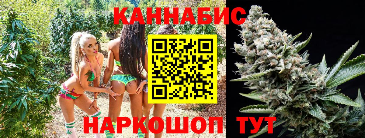 Бошки марихуана Amnesia Краснодар